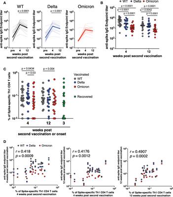 Functional changes in cytotoxic CD8+ T-cell cross-reactivity against the SARS-CoV-2 Omicron variant after mRNA vaccination